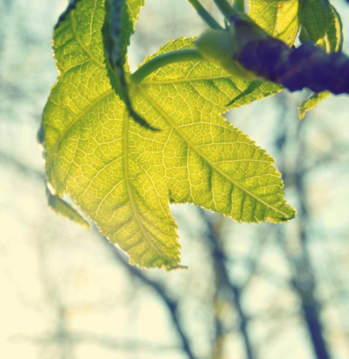 伊对实名账号：实名制如何解决社交网络网络暴力的问题？