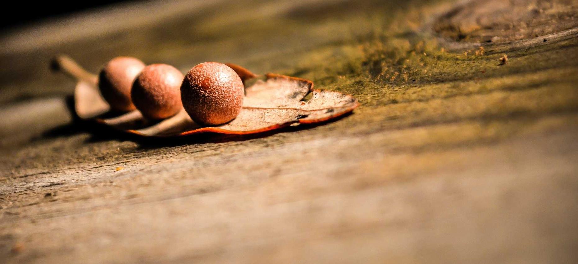 民盟怎么注册账号