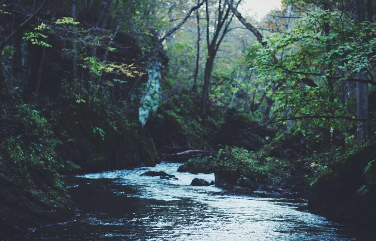 百度实名账号：头条账号怎么注册码