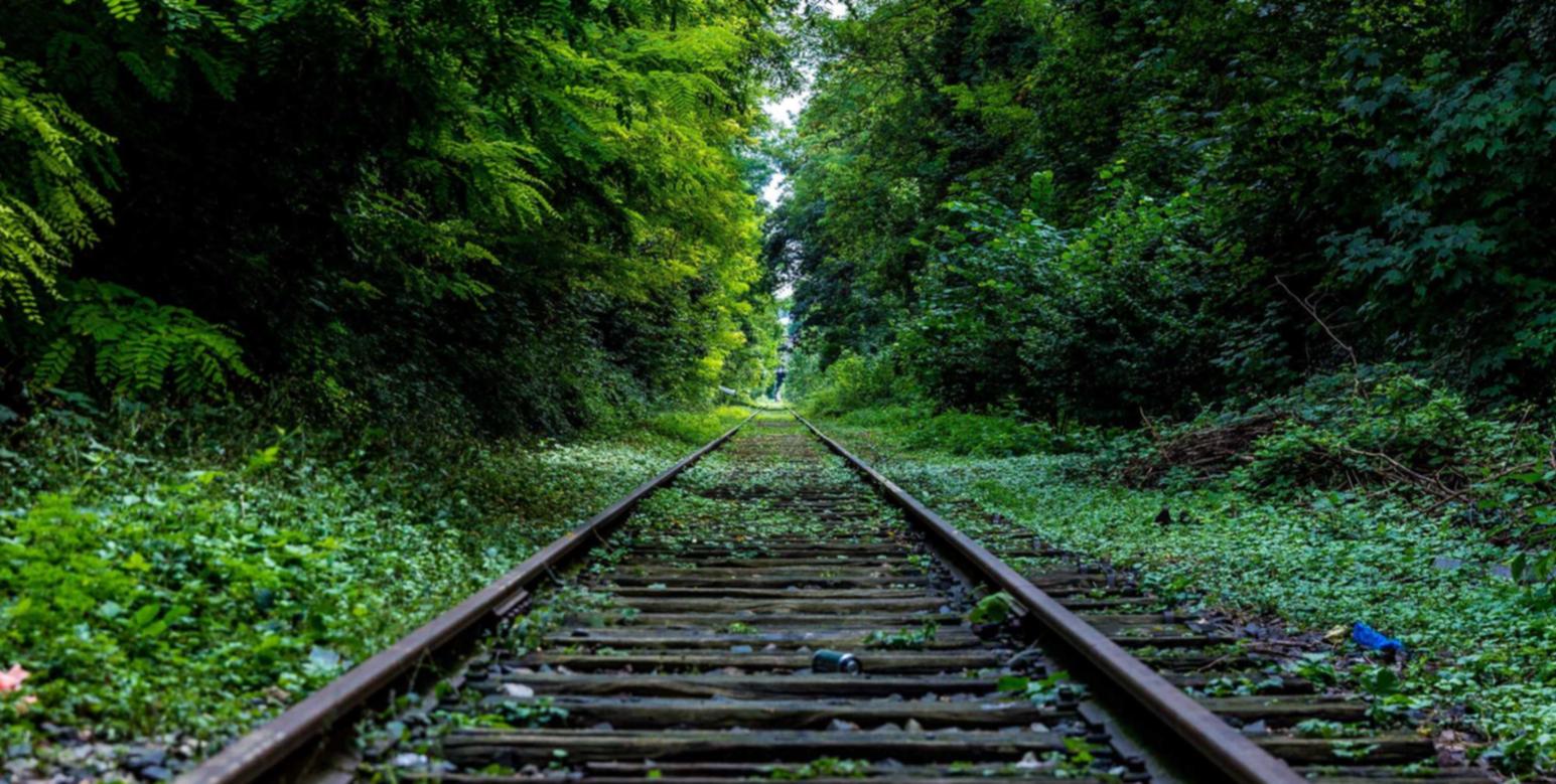 封禁技术支持人士是否应该宽大处理？ 