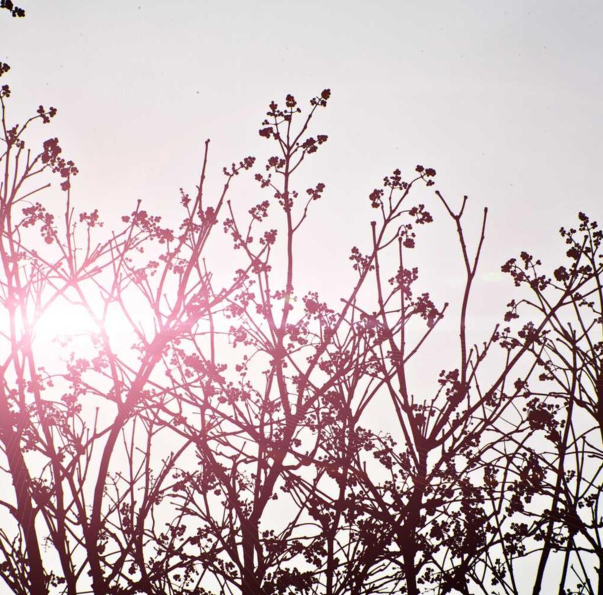 vx号出售：如何解决流量卡使用中遇到的问题？了解如何解决流量卡使用中的问题