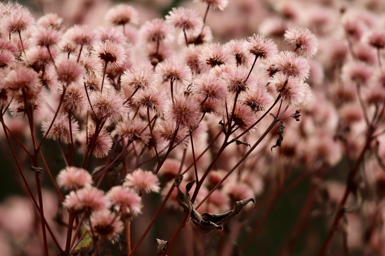 永远的7日之都辅助- 集成灶购买平台