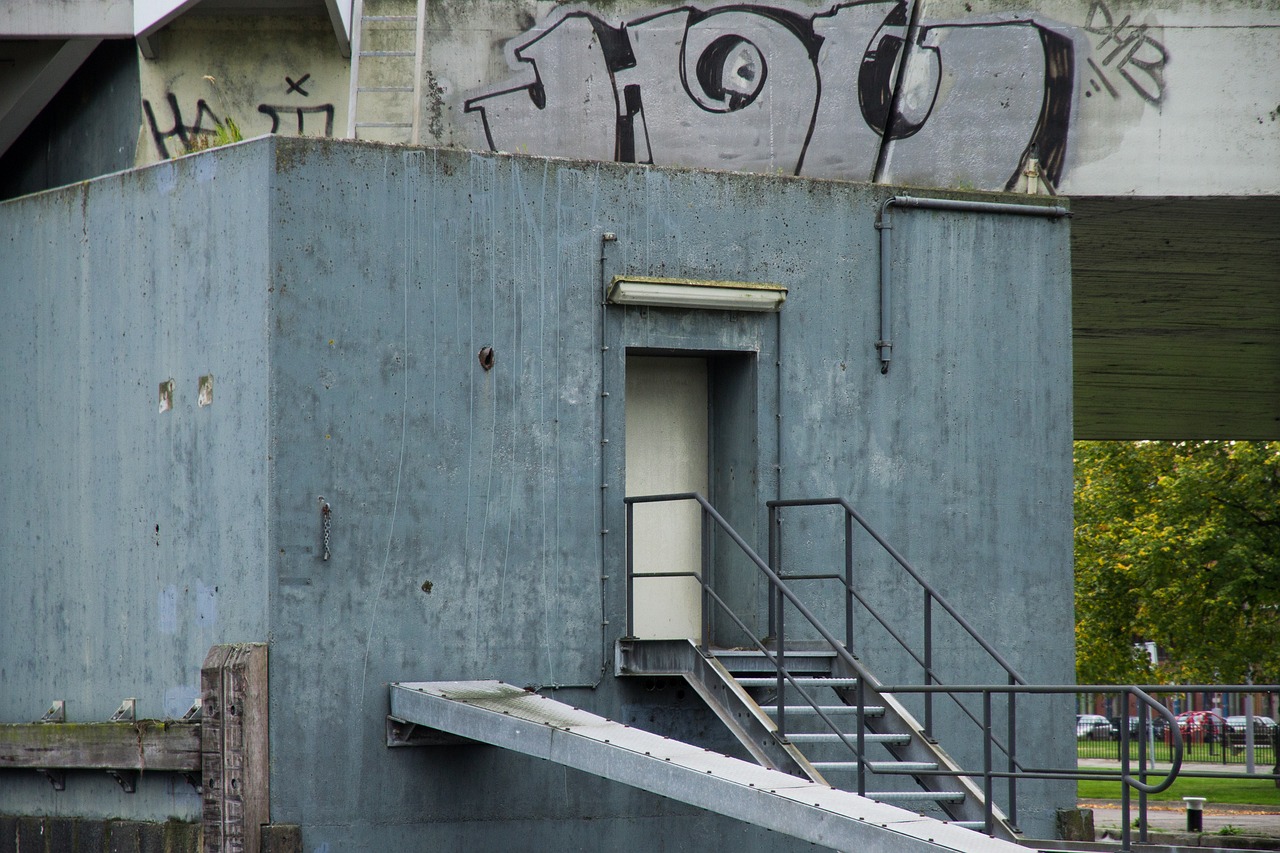 百合网实名账号:昆明书画平台代理哪个好