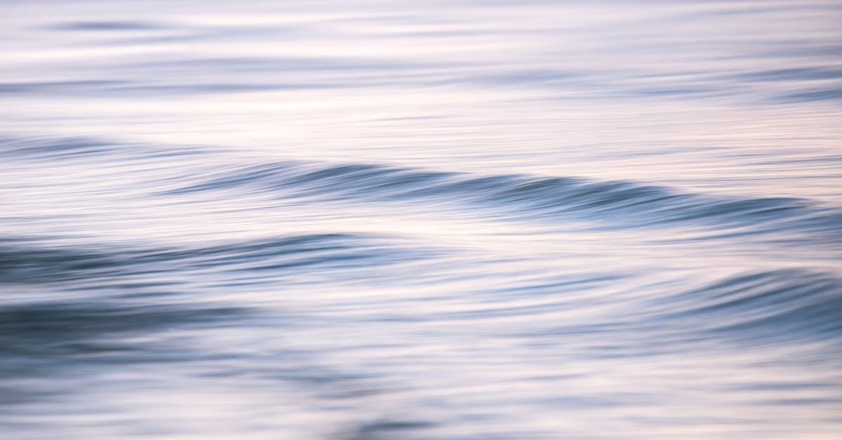 出口荷花（软）：顶级吉他购买平台