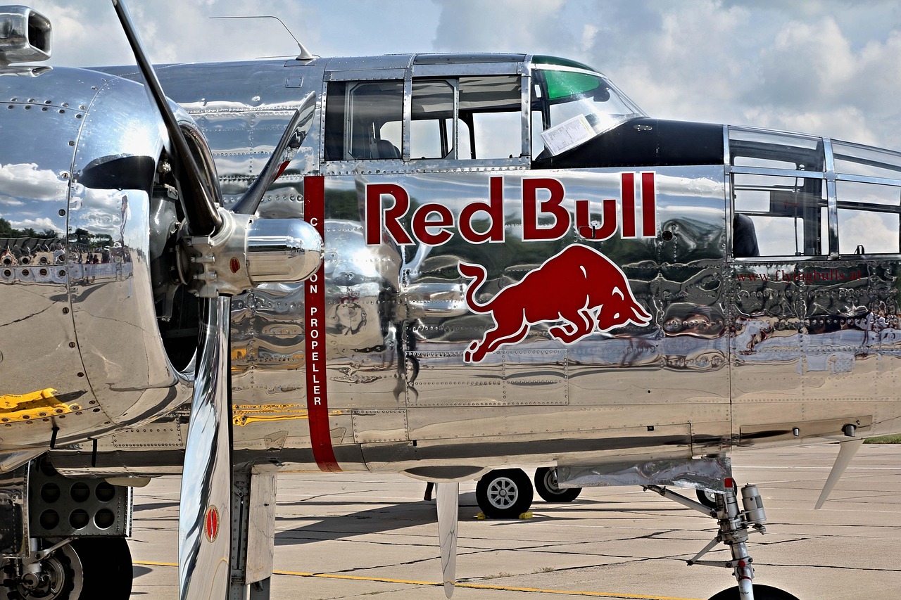 激战2 steam版：正规代理公司注册店长要求