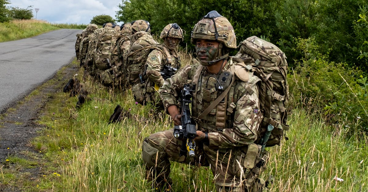 Mond梦都蓝莓：金沙手机版app详情下载教程